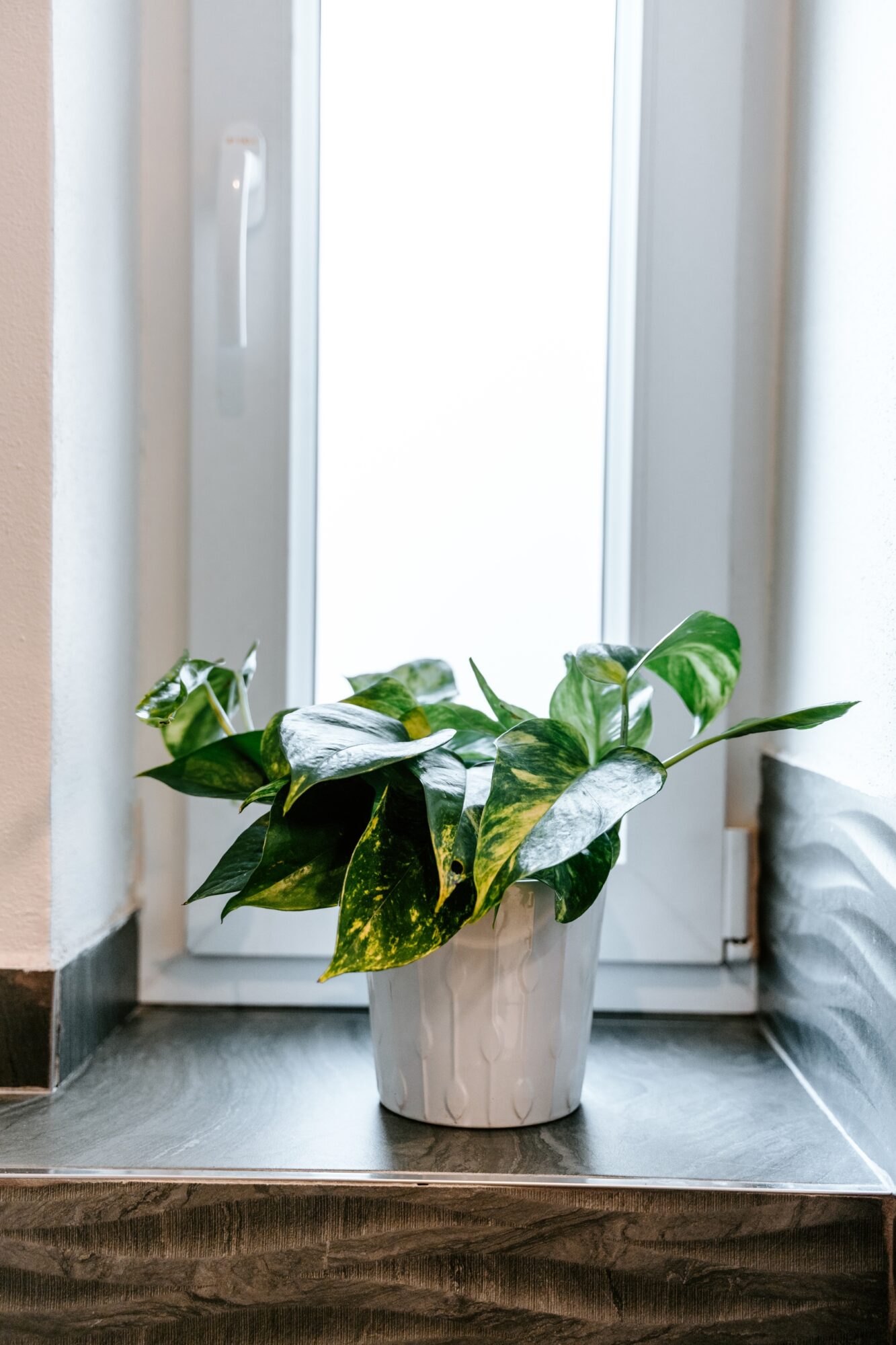 Focení bytu pro Airbnb v Olomouci